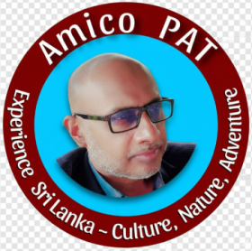 NimaPat Logo